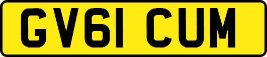 GV61CUM