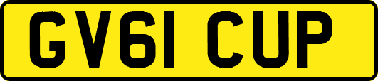 GV61CUP