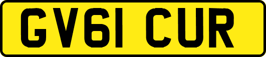 GV61CUR