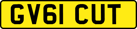 GV61CUT