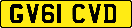 GV61CVD