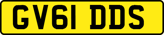 GV61DDS