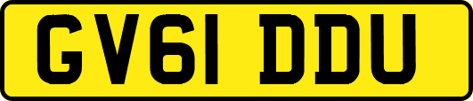 GV61DDU