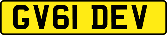 GV61DEV