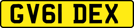 GV61DEX