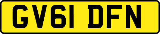 GV61DFN