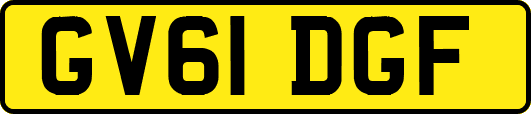 GV61DGF