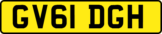 GV61DGH