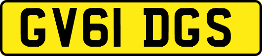 GV61DGS