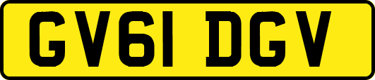 GV61DGV