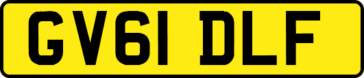 GV61DLF