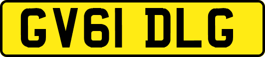 GV61DLG