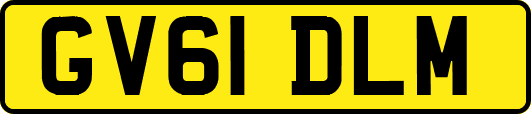 GV61DLM