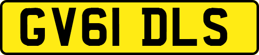 GV61DLS