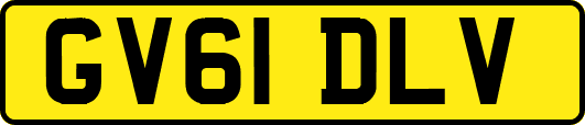 GV61DLV
