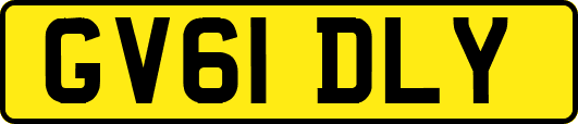 GV61DLY