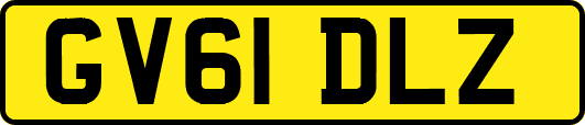 GV61DLZ