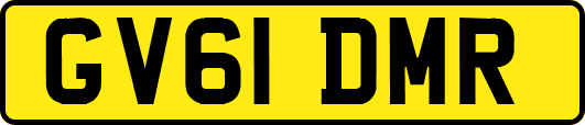 GV61DMR