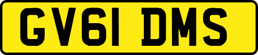 GV61DMS