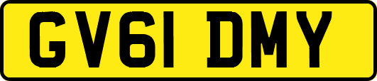 GV61DMY