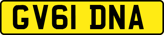 GV61DNA