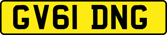 GV61DNG