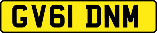 GV61DNM