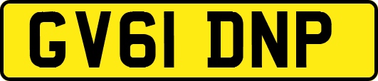 GV61DNP