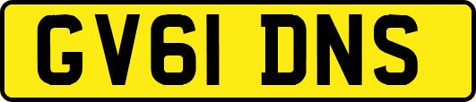 GV61DNS