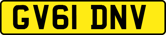 GV61DNV