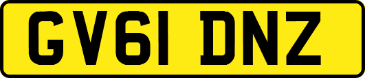 GV61DNZ
