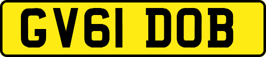 GV61DOB