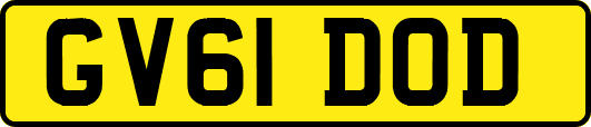 GV61DOD