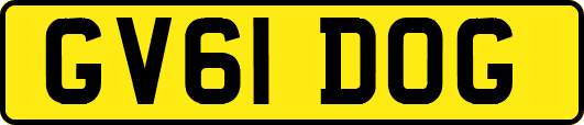 GV61DOG
