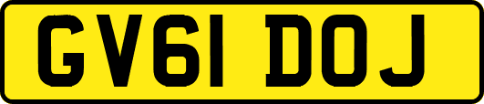 GV61DOJ