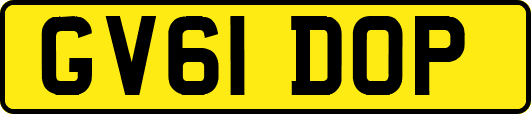 GV61DOP