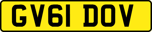 GV61DOV