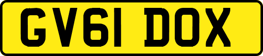 GV61DOX