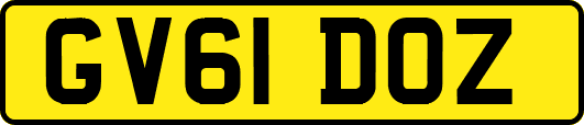 GV61DOZ