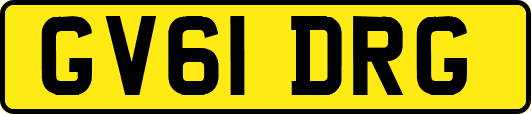 GV61DRG