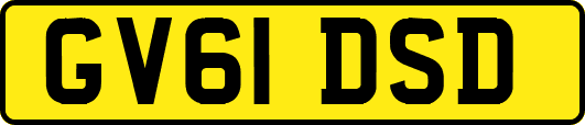 GV61DSD