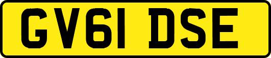 GV61DSE