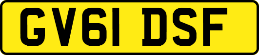 GV61DSF