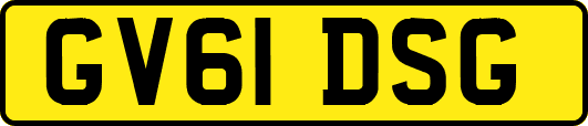 GV61DSG