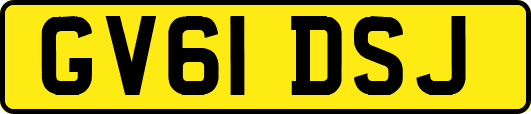 GV61DSJ