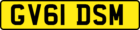 GV61DSM