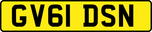 GV61DSN