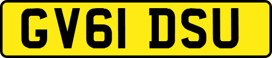 GV61DSU