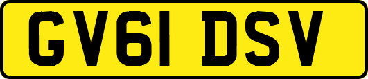 GV61DSV