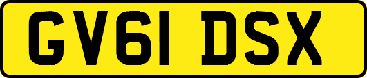 GV61DSX